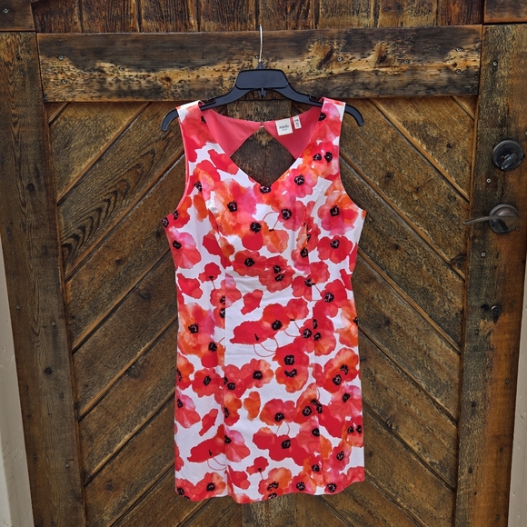 Rafaella Dresses & Skirts - Rafaella Weekend Poppy Floral Print Shift Dress
